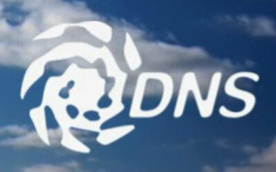 DNS Server – Gestione dei record, quando e perchè averlo locale e non gestito da terzi.